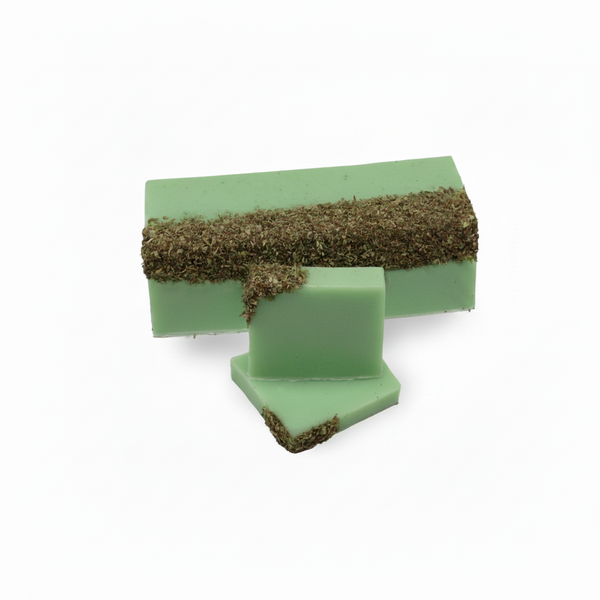 Green Tea & Olive Soap Slice