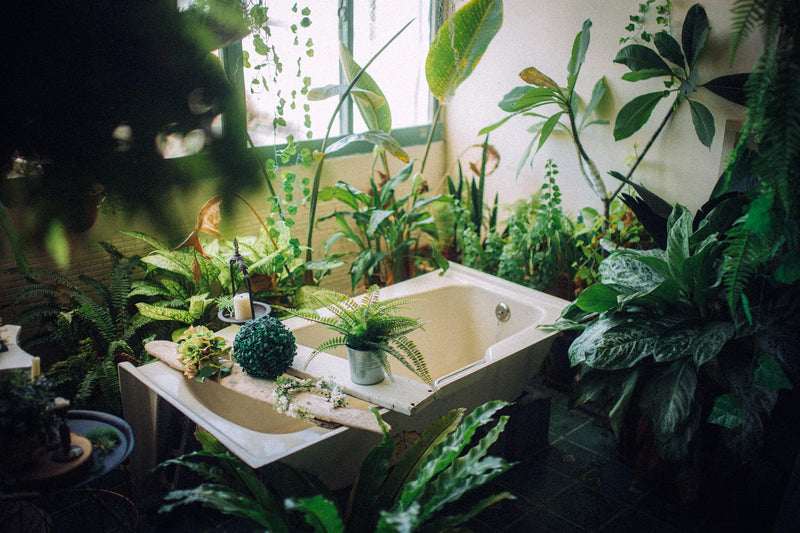 Wellbeing Rituals